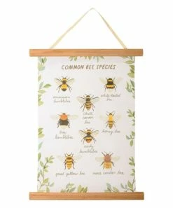 Primitives by Kathy | White & Yellow 'Common Bee Species' Wall Sign
