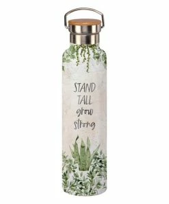 Primitives by Kathy | Ecru & Green 'Stand Tall' Insulated Bottle