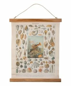 Primitives by Kathy | Tan & Brown 'Mollusques' Shells Wall Art